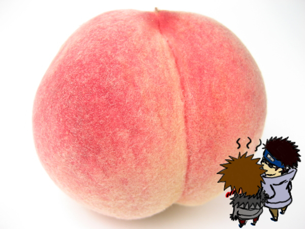桃から生まれたキバシノ kibamomoshino