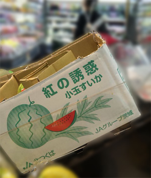 証拠写真 watermelon
